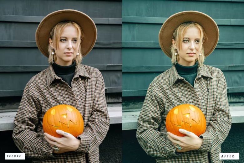 15 Halloween Lightroom Preset 15个万圣节Lightroom预设