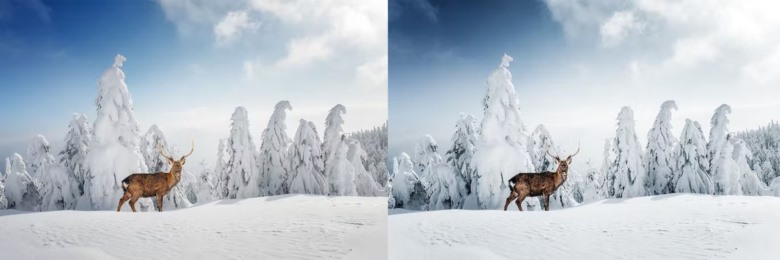 10 x Lightroom Presets, Winter Wildlife Presets 10个冬季野生动物预设