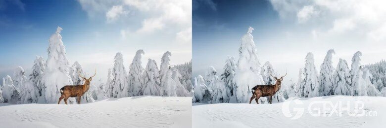 10 x Lightroom Presets, Winter Wildlife Presets 10个冬季野生动物预设