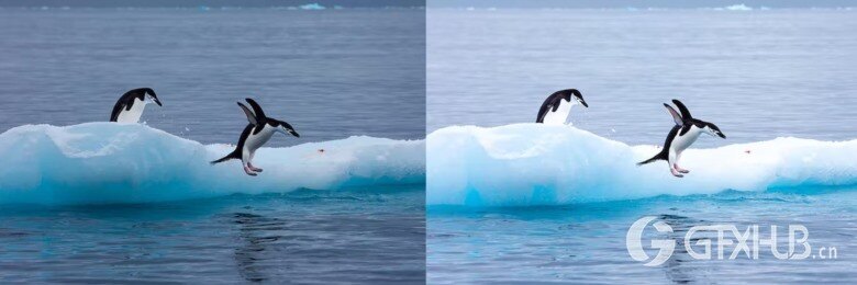 10 x Lightroom Presets, Winter Wildlife Presets 10个冬季野生动物预设