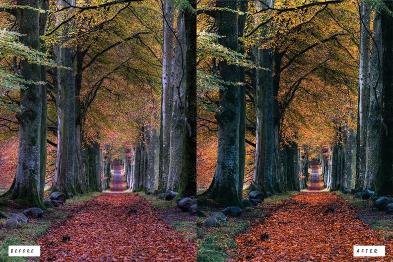 20 Utopia Landscape Lightroom Presets 20个乌托邦景观Lightroom预设