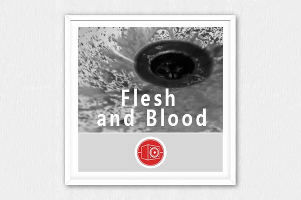 Big Room Sound - Flesh and Blood