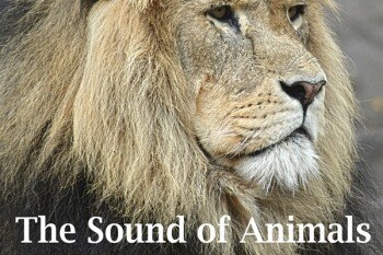 动物之声 Sound Effects Factory – The Sound of Animals