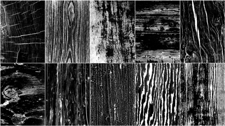 72种木材表面缺陷高光遮罩贴图 ArtStation - Wood surface Imperfection Vol 03
