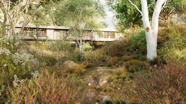 41种澳大利亚野生植物 Bundle 41 - Australian Wild Plants