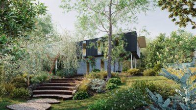 100种灌木树木藤蔓3D植物模型 Bundle 38 – Australian Home & Garden Plants 04