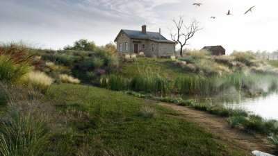 108种花园景观常见观赏草3D模型  Bundle 18 Ornamental Grasses