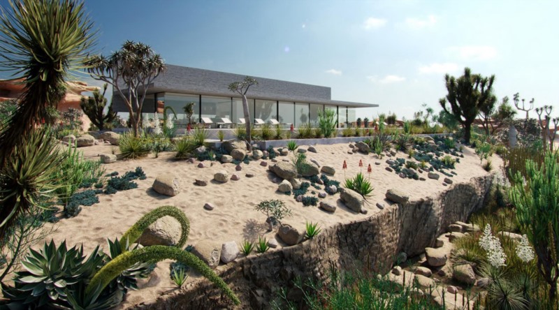 104种常见多肉植物和装饰植物3D模型 Bundle 11 Desert Garden