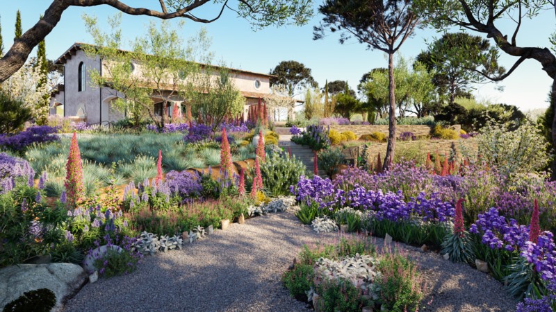 96种地中海景观常见树木和灌木3D模型 Bundle 16 Mediterranean Plants