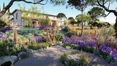 96种地中海景观常见树木和灌木3D模型  Bundle 16 Mediterranean Plants