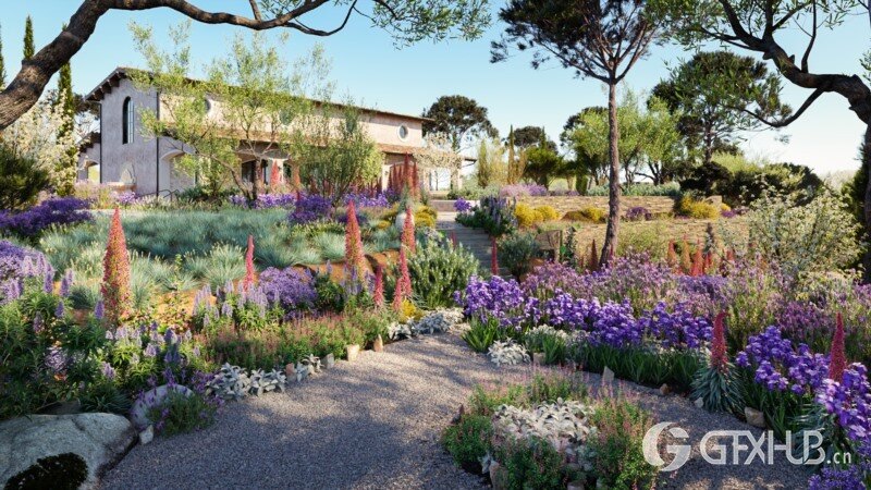 96种地中海景观常见树木和灌木3D模型 Bundle 16 Mediterranean Plants