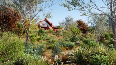 77种新西兰植物树木、风景灌木、花草3D模型  Bundle 21 New Zeland Plants