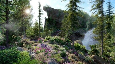 84种阿拉斯加植物树木灌木3D模型 Bundle 31 Alaskan Plants