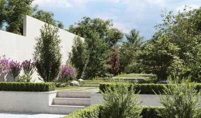 80个高质量3D树模型集合 Plant Models Vol.2