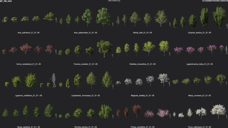 80个高质量3D树模型集合 Plant Models Vol.2