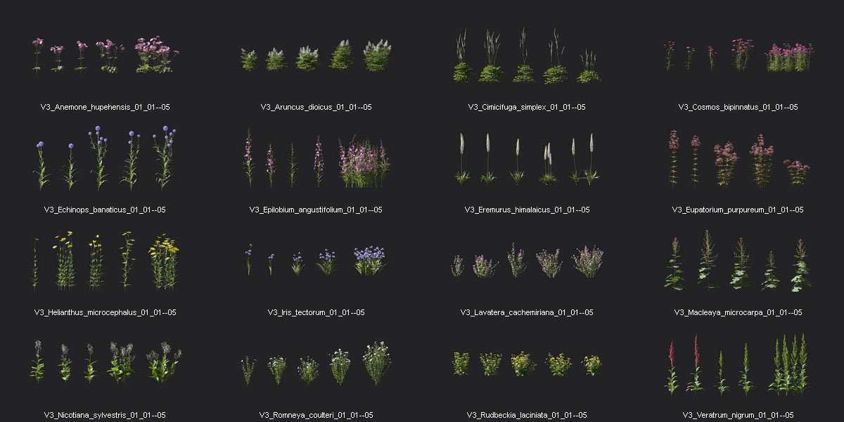 80个高质量花园花卉3D模型集合 Plant Models Vol.3