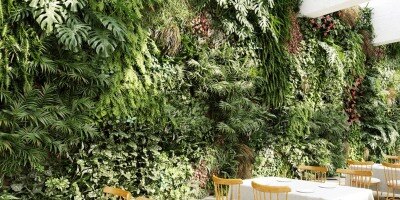 室内绿圃植物3D模型集合 Plant Models Vol.4