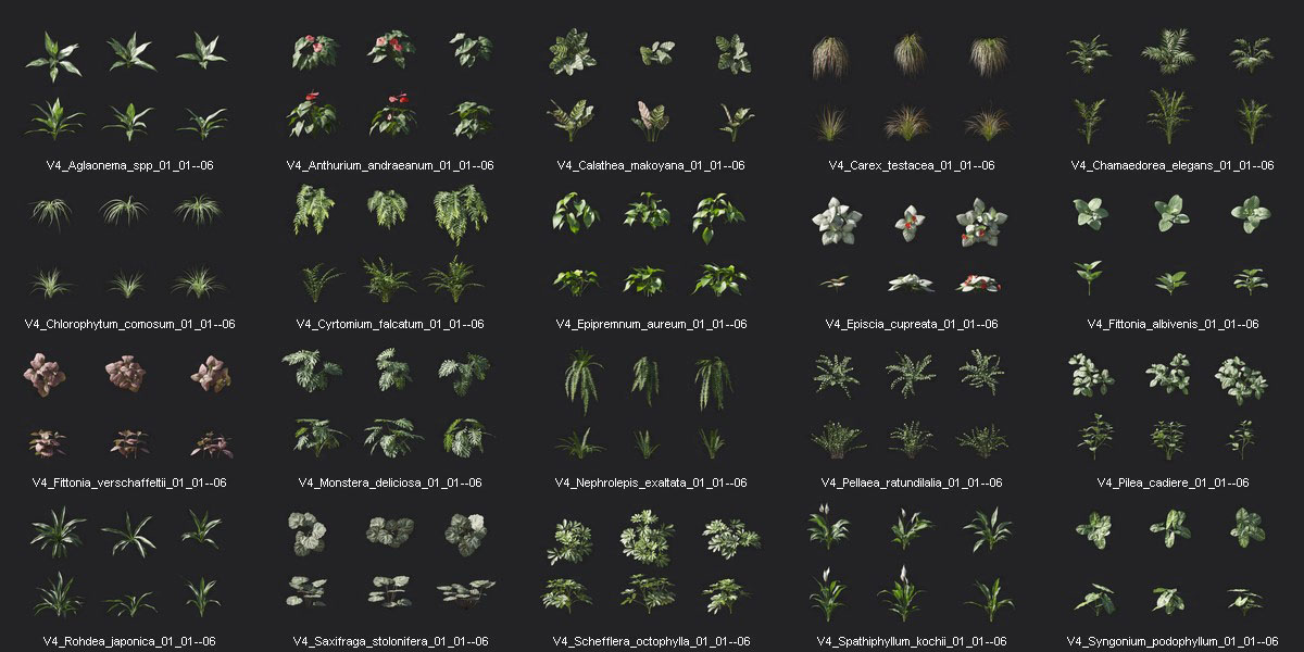室内绿圃植物3D模型集合 Plant Models Vol.4
