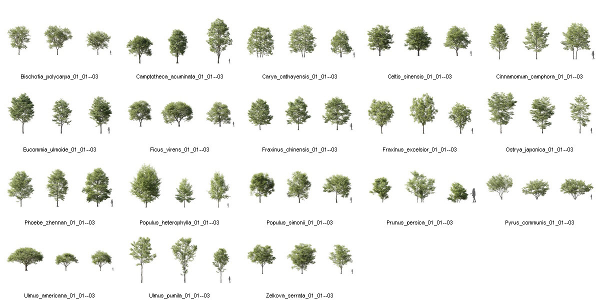 54个高质量3D树模型集合 Plant Models Vol.5