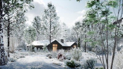 79种逼真冬季植物针叶树灌木3D模型 Bundle 35 Winter Plants