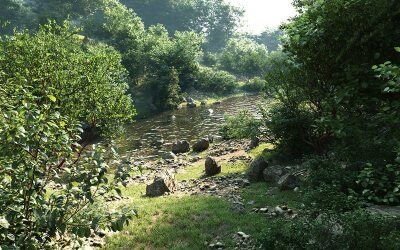 18种高质量3D灌木模型集合 Plant Models Vol.6