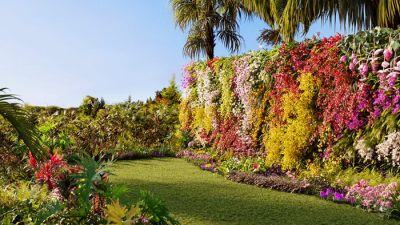 162个花园花朵兰花植物3D模型集合 Plant Models Vol.8