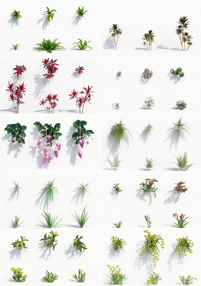 162个花园花朵兰花植物3D模型集合 Plant Models Vol.8