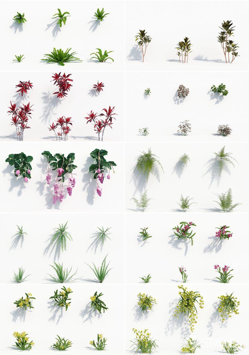 162个花园花朵兰花植物3D模型集合 Plant Models Vol.8