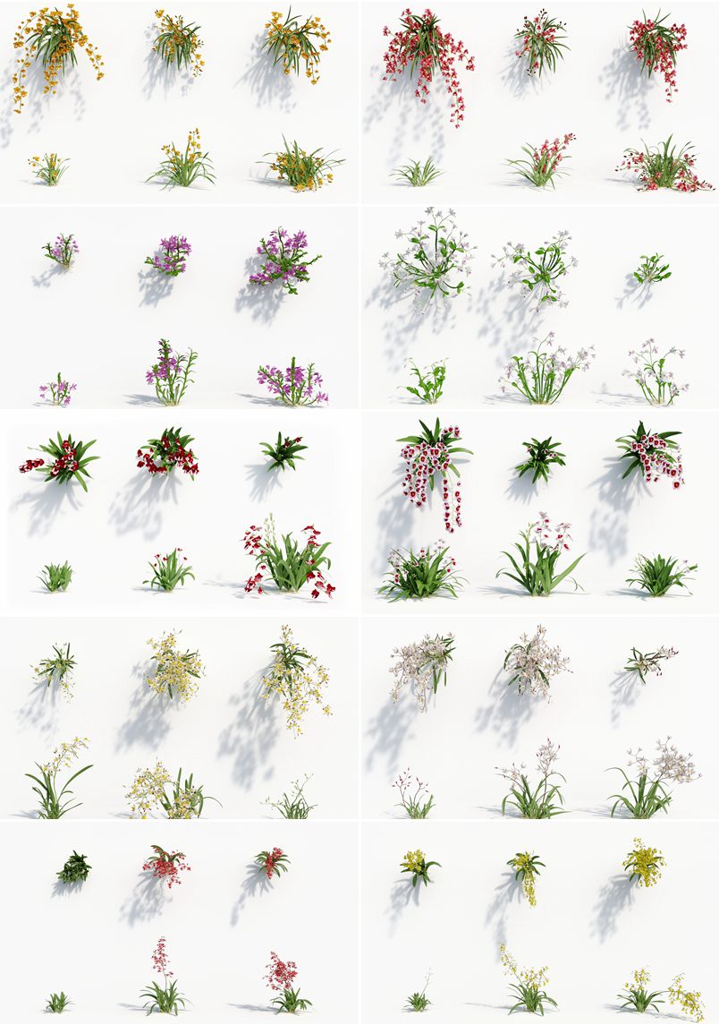 162个花园花朵兰花植物3D模型集合 Plant Models Vol.8
