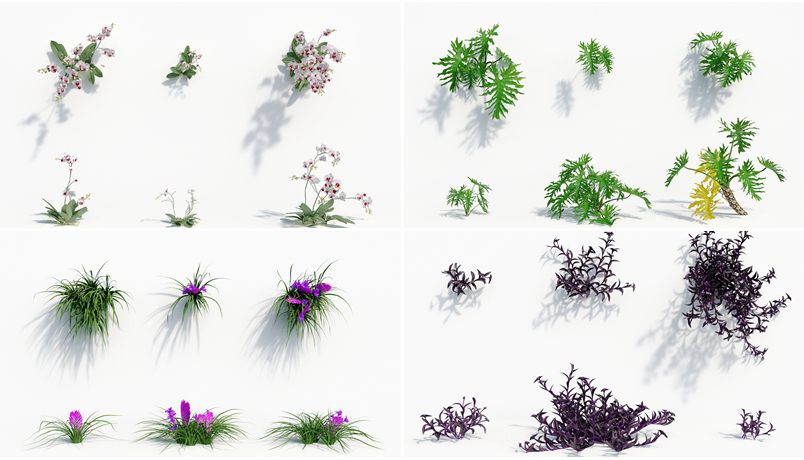 162个花园花朵兰花植物3D模型集合 Plant Models Vol.8