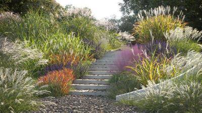 108个高质量3D草模型集合 Plant Models Vol.9