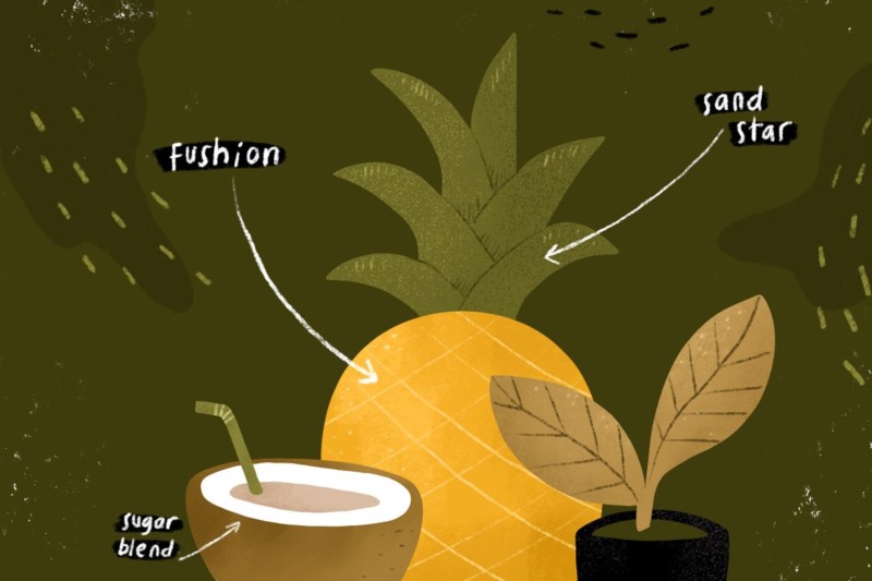Procreate调配谷物笔刷 SPICE UP GRAIN BRUSHES for Procreate