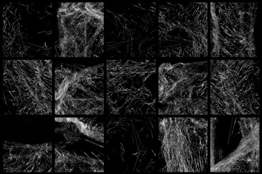 塑料PS印章笔刷 Plastic Photoshop Stamp Brushes | 01