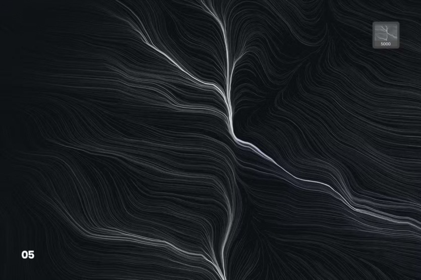 数字网络波浪Photoshop画笔 Digital Perlin Flow Fields Photoshop Brushes