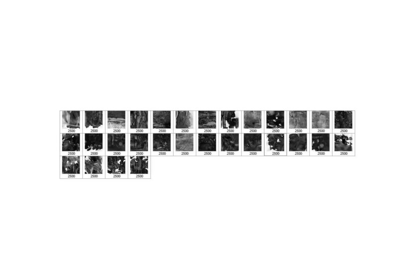 30个手绘贴花油漆纹理画笔 30 Decalcomania Photoshop Stamp Brushes