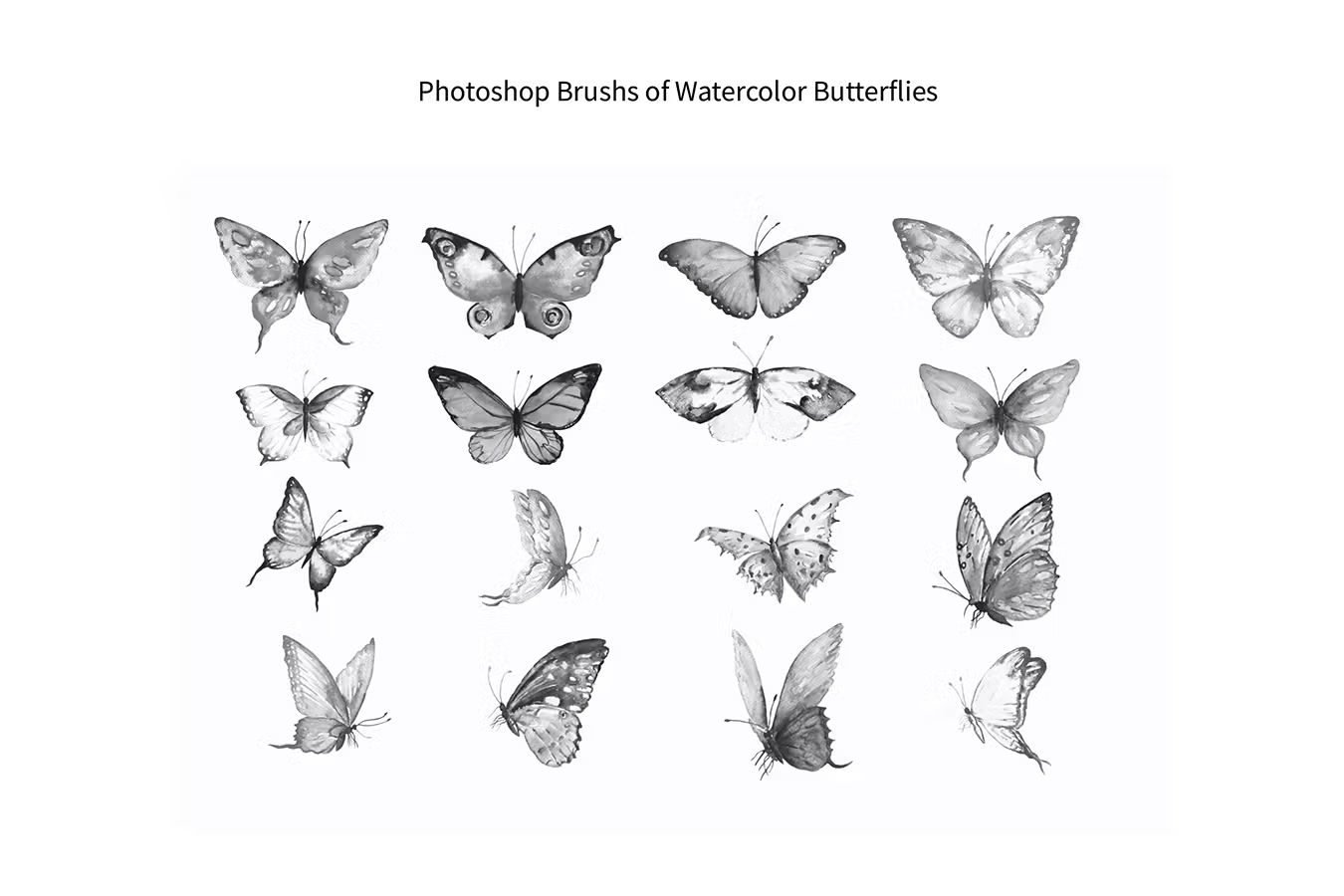 水彩蝴蝶Photoshop笔刷 Photoshop Brush Watercolor Butterflies ABR