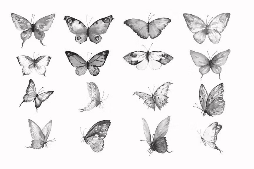 水彩蝴蝶Photoshop笔刷 Photoshop Brush Watercolor Butterflies ABR