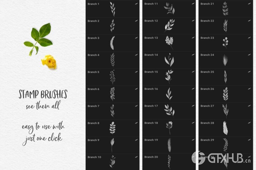 244个Procreate水彩画笔 244 Watercolor Brushes For Procreate