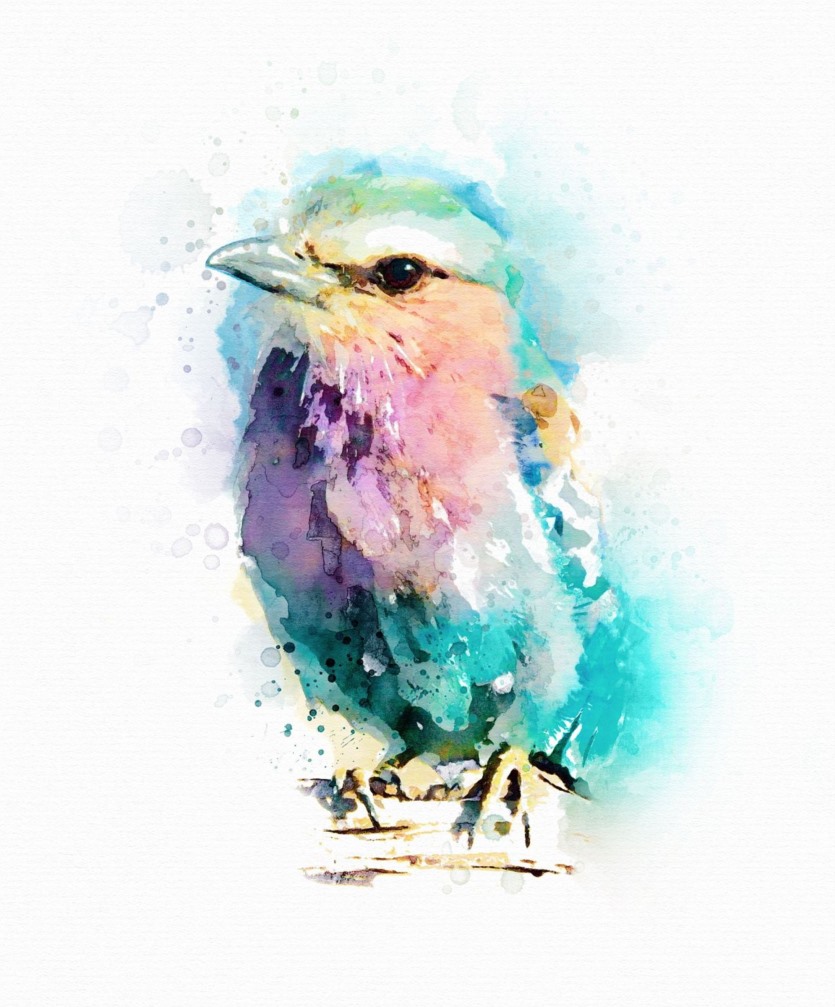 PS水彩创作套件 Watercolor Creation Kit