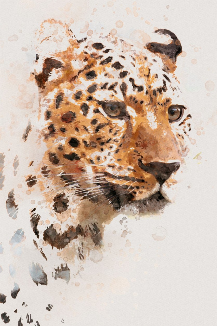 PS水彩创作套件 Watercolor Creation Kit