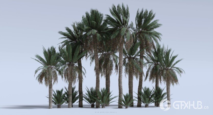 大集市 建筑、人群、骆驼、植被、模块化套件 Big Medium Small - Grand Bazaar Collection Bundle