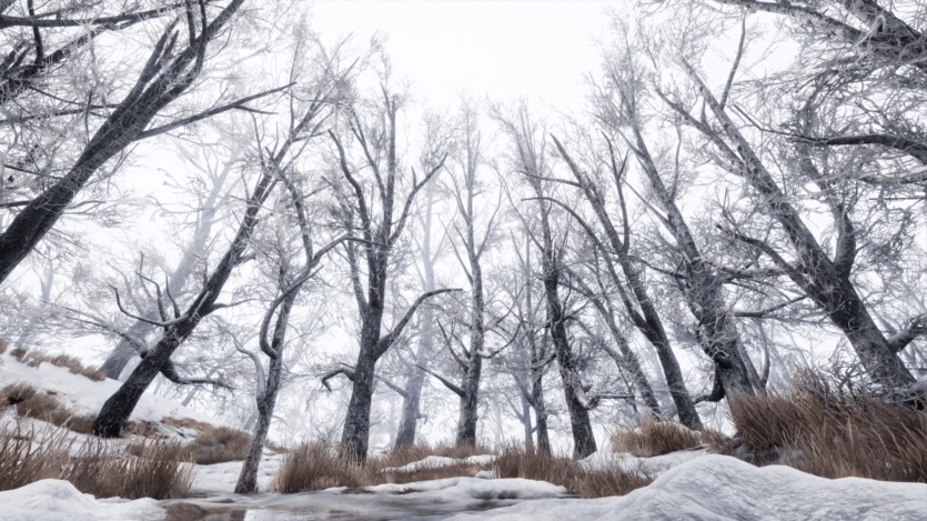 UE虚幻引擎动态冬季森林环境 Winter Forest