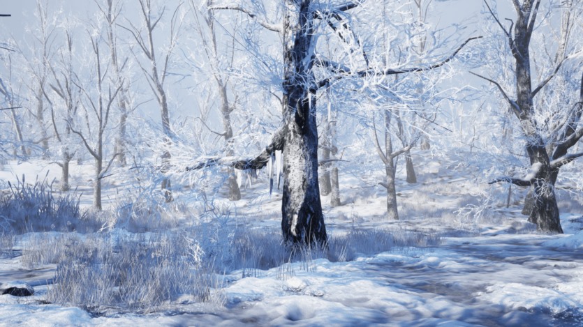UE虚幻引擎动态冬季森林环境 Winter Forest