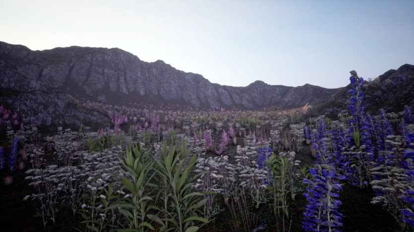 UE虚幻引擎 山脉和草地 I 户外环境 Mountains & Meadows I Outdoor Environment