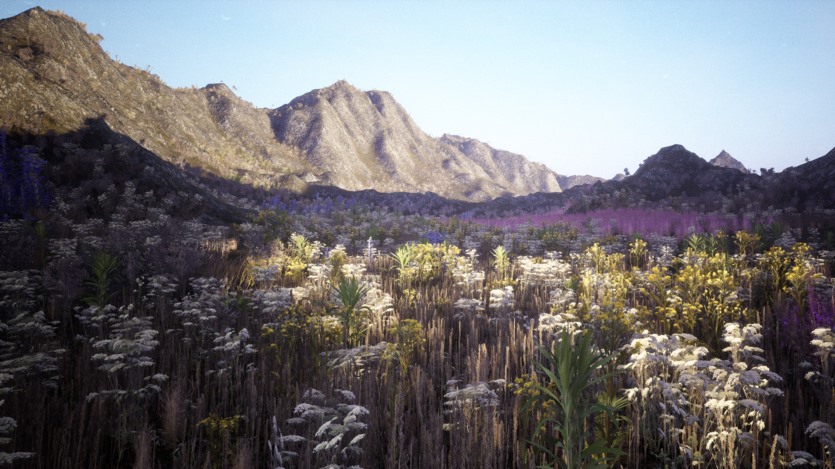 UE虚幻引擎 山脉和草地 I 户外环境 Mountains & Meadows I Outdoor Environment