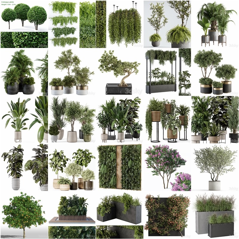 3DSky Pro 50套高精度植物盆栽3D模型合集