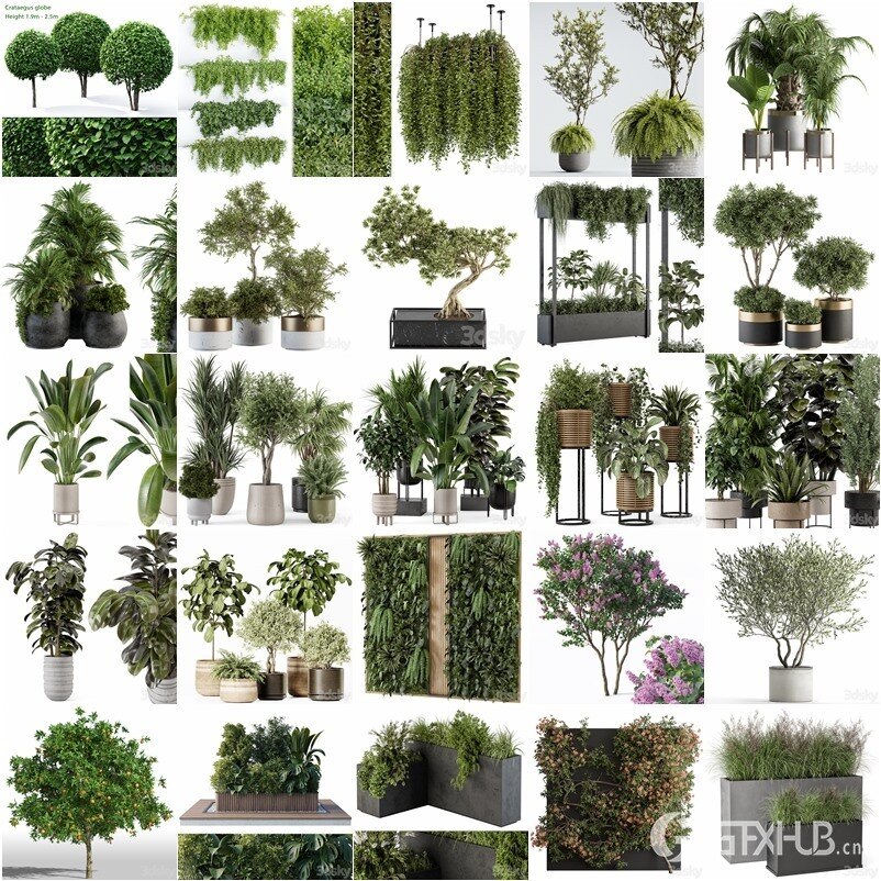 3DSky Pro 50套高精度植物盆栽3D模型合集
