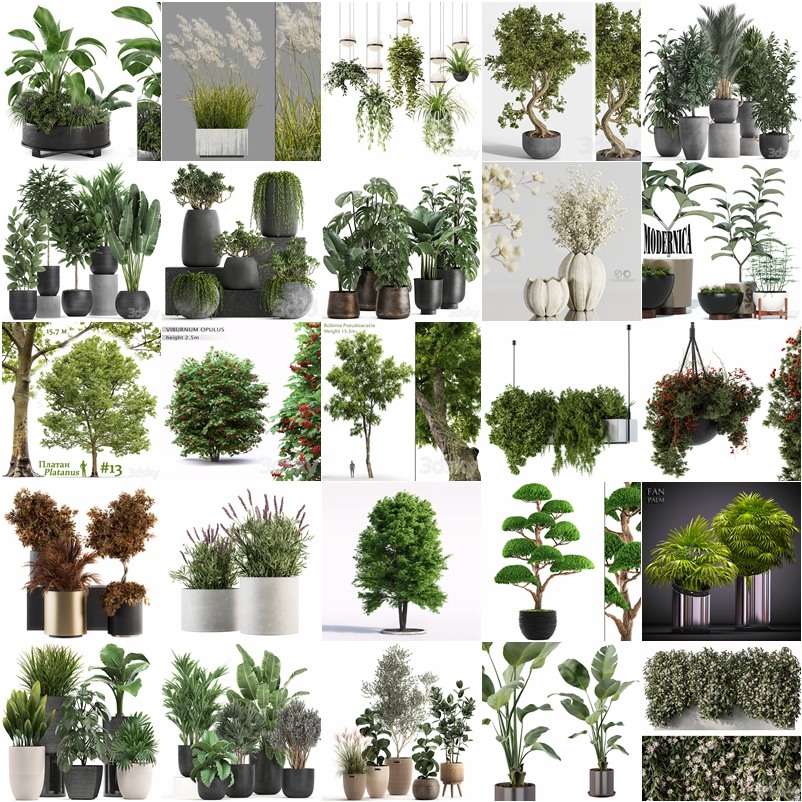 3DSky Pro 50套高精度植物盆栽3D模型合集