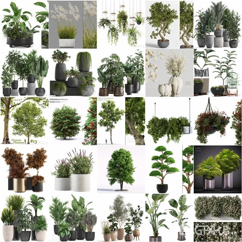 3DSky Pro 50套高精度植物盆栽3D模型合集