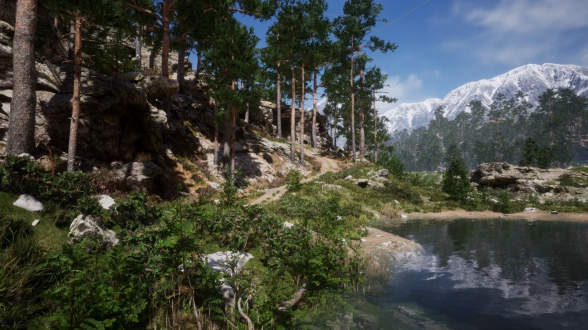 UE虚幻引擎 山林环境景观植物库 Mountain - Environment Set